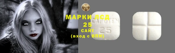 шишки Осташков